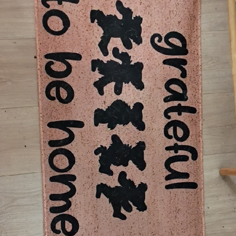 Grateful Dead Rug Home Accent Rug - - Picture 2 of 3